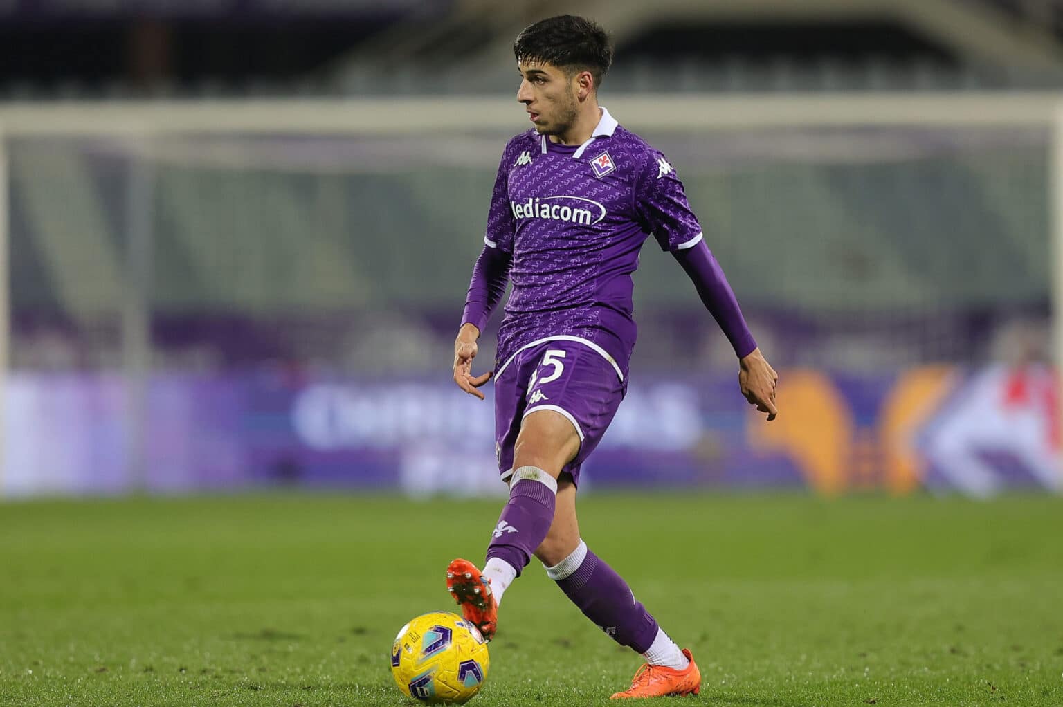 Fabiano Parisi, Fiorentina