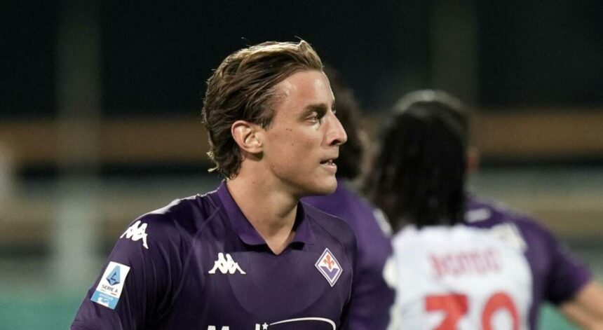 Bove con la maglia della Fiorentina