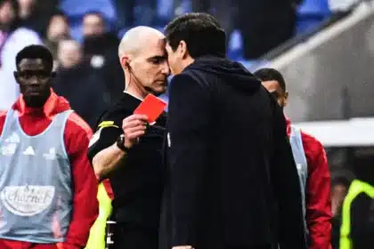 Fonseca faccia a faccia con l'arbitro