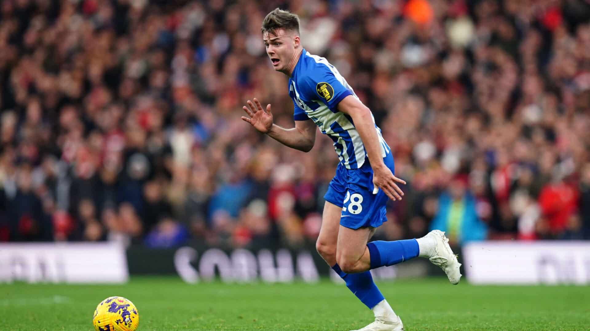 Evan Ferguson in azione con la maglia del Brighton durante una partita di Premier League
