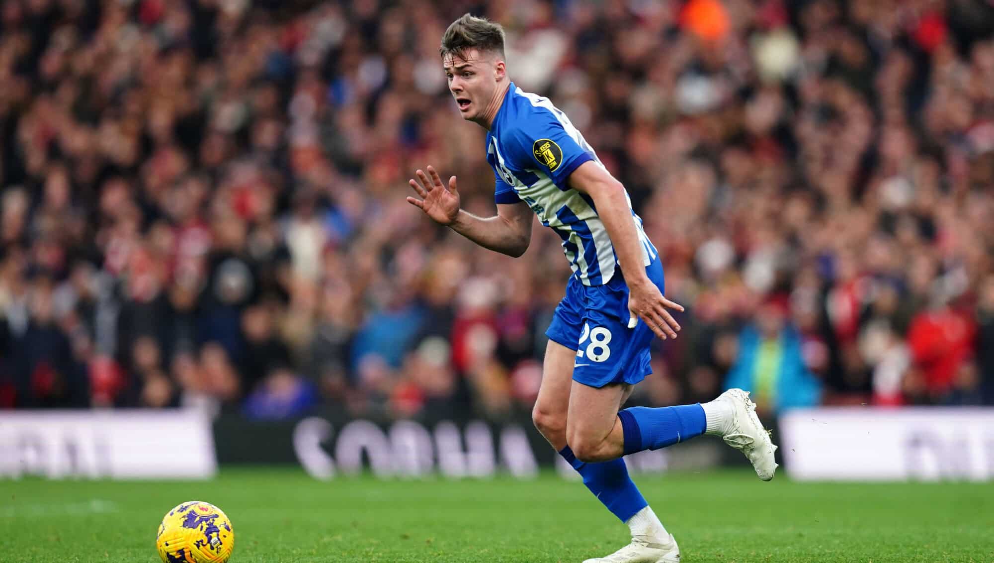 Roma, pressing su Evan Ferguson: Gasperini vuole rinforzi, si tratta con il Brighton Roma, pressing su Evan Ferguson: Gasperini vuole rinforzi, si tratta con il Brighton