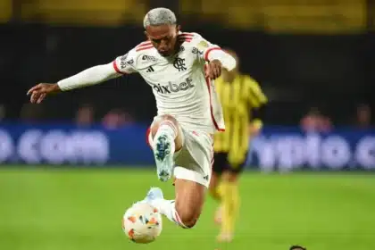 Wesley, Flamengo